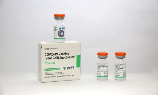 BAI vero cell CANH